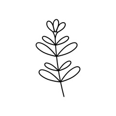 Leaves with Flowers Bouquet Line Art Illustration