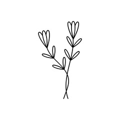 Leaves with Flowers Bouquet Line Art Illustration