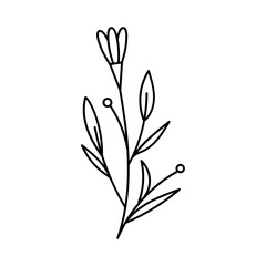 Leaves with Flowers Bouquet Line Art Illustration