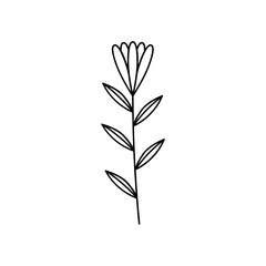Leaves with Flowers Bouquet Line Art Illustration