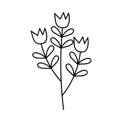 Leaves with Flowers Bouquet Line Art Illustration