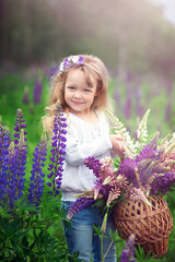 a little girl with curly blonde hair with a basket and a bouquet of lupines, in a field in the summer