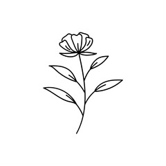 Leaves with Flowers Bouquet Line Art Illustration