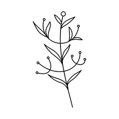 Leaves with Flowers Bouquet Line Art Illustration