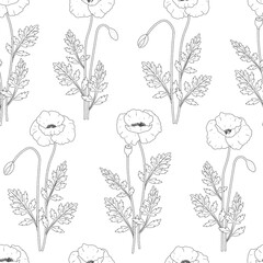 Seamless pattern poppies flowers graphics black and white vector illustration. Provence wildflowers	