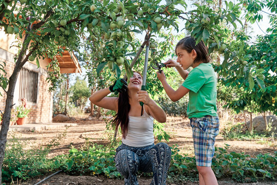 young mother with her young son in the garden in the middle of the vegetable garden planting and pruning trees. Using gardening tools, gloves and scissors. gardening activity