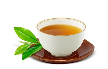 湯呑み ほうじ茶 麦茶 飲み物 イラスト リアル 茶托 茶葉