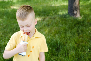 A boy bites a French hot-dog and stains his clothes. In the park. The concept of cleaning stains on clothes.