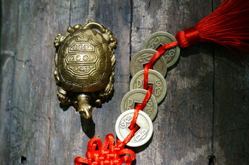 A bunch of Chinese coins in close-up. Next to it is a metal turtle.