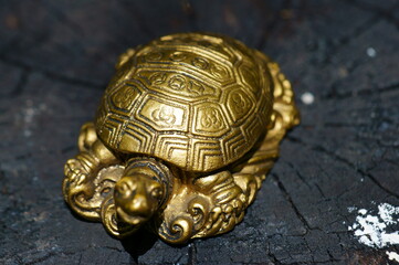 A turtle figurine on a dark wooden background.