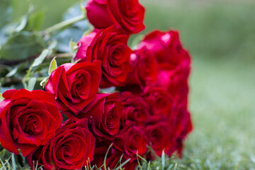 Big bouquet of red roses on green grass.