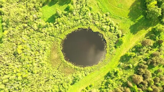 Aerial Flight From Top Bottom Over An Amazing Small Lake With Perfectly Round Shape. Sky Was Reflected In Clear Water Of Pond Surrounded By Trees And Plants. Unspoiled Nature From Above On Summer Day