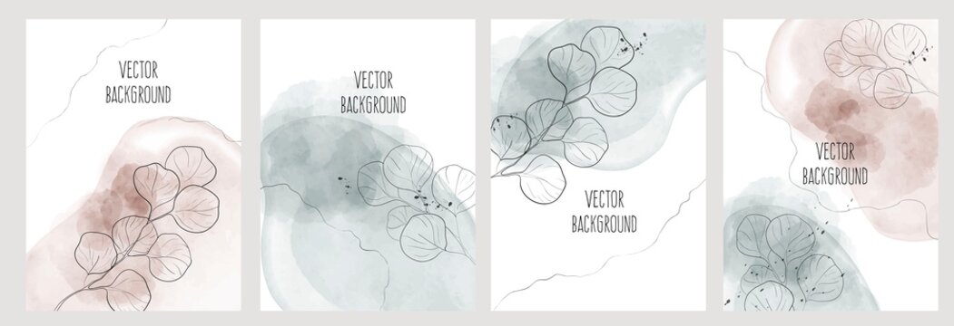 Abstract universal hand drawn vector set background with eucalyptus and watercolour