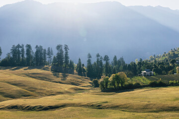mountains and meadow at shangarh, himachal pradesh, India 