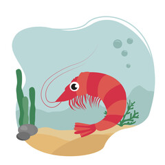 Shrimp sea animal in the ocean . Sea food