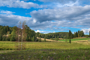 Fields and Hills with forest in Korelia in early autumn, North of Russia - obrazy, fototapety, plakaty