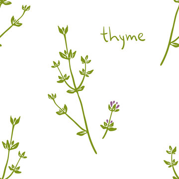 Seamless pattern with thyme. Colorful paper cut culinary herbs isolated on white background. Doodle hand drawn vector illustration