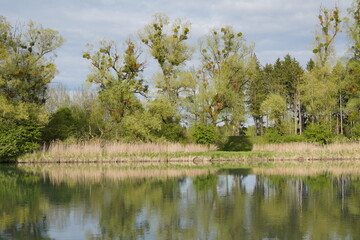 Am Inn bei Pfraundorf