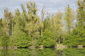 Obraz premium Am Inn bei Pfraundorf