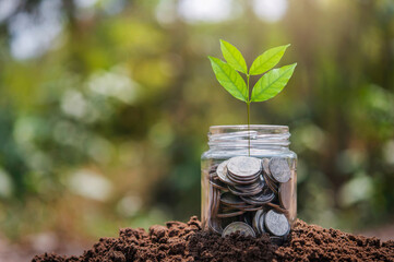 money in glass with plant growth on soil. finance and accounting concept