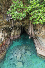 高知県土佐清水市　松尾漁港　海老洞