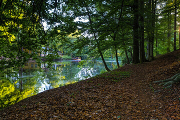 Evening mood at the gondola pond in Neukirch / Lausitz