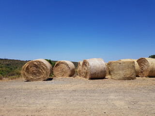 Balle di fieno