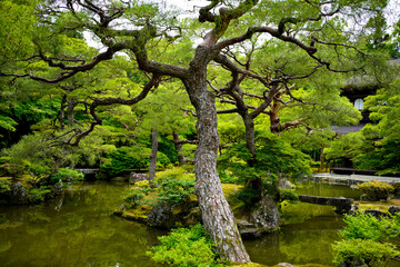 Ginkakuji Temple in Kyoto.