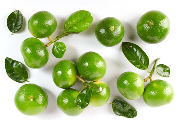 Lime. Fresh fruit with leaf isolated on white background. Its freshly picked from home growth organic garden. Food concept.