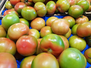 Pomodori