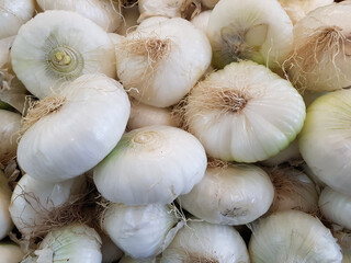 Cipolle bianche