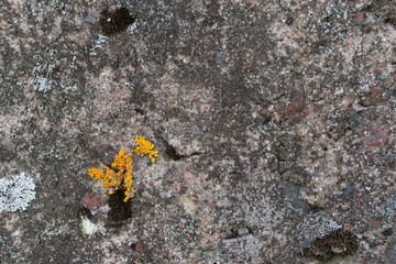 dirty and lichen covered concrete
