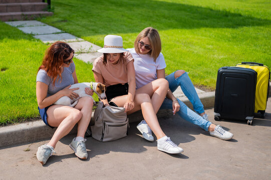 Three Caucasian women and a dog go on a trip. The girls are sitting on the curb with suitcases and waiting for a taxi. Summer vacation concept together with girlfriends