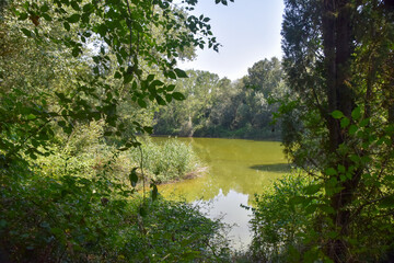italian countryside and its natural beauties in detail