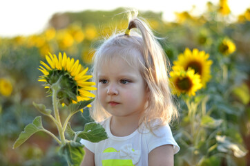 A little girl stands among the sunflowers and looks at the flower
