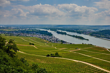 Fototapeta na wymiar stunning view from the Niederwaldtemple to Rhine River and Rüdesheim, Germany