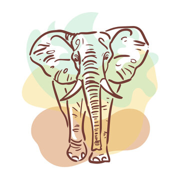 Premium Vector  Elephant head profile with upturned trunk engraved indian elephant  sketch vector illustration