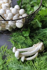 parsley and dill, basket with white shimeji mushrooms, vegetables, green plants