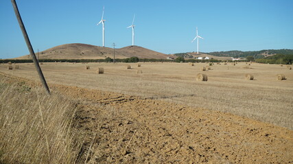 campo, eólicas