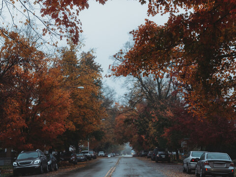 Fall streets