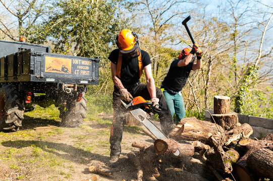  Men in safety equipment cutting wood together
