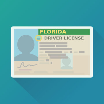 Florida driver's license (flat design)