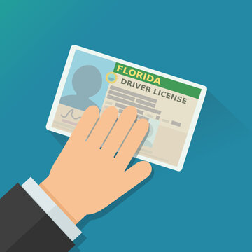 A hand presents a Florida driver's license on a blue background (flat design)