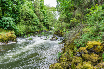 Obraz premium Beautiful Deschutes River 3