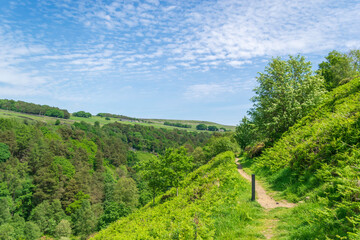 landscape with hills and trees