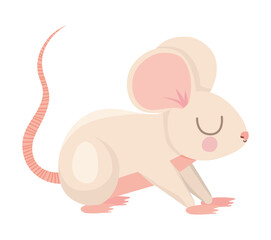 pretty mouse design