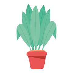 plant in red pot