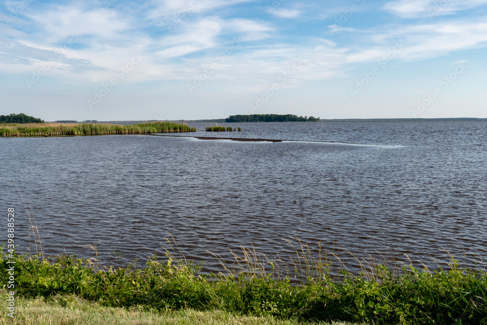 Wall mural Silt, sediment sand and mud collect to form a shoal or mudbank in the shallow tidal brackish water swamp area at the mouth of the river delta where it approaches the ocean