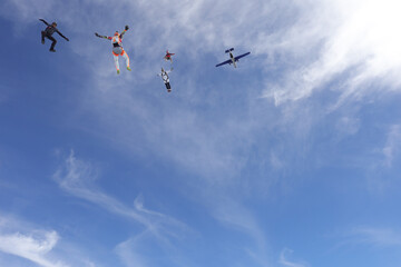 Skydiving. SKydivers are having fun in the blue sky.
