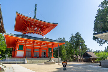 【和歌山県】高野山真言宗総本山 金剛峯寺の壇上伽藍の大塔